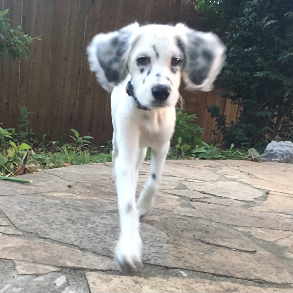 Meet your Posher, Jennifer